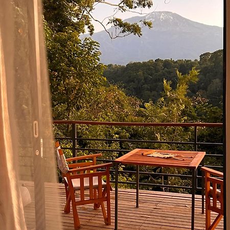 Kaliwa Lodge Moshi Kültér fotó