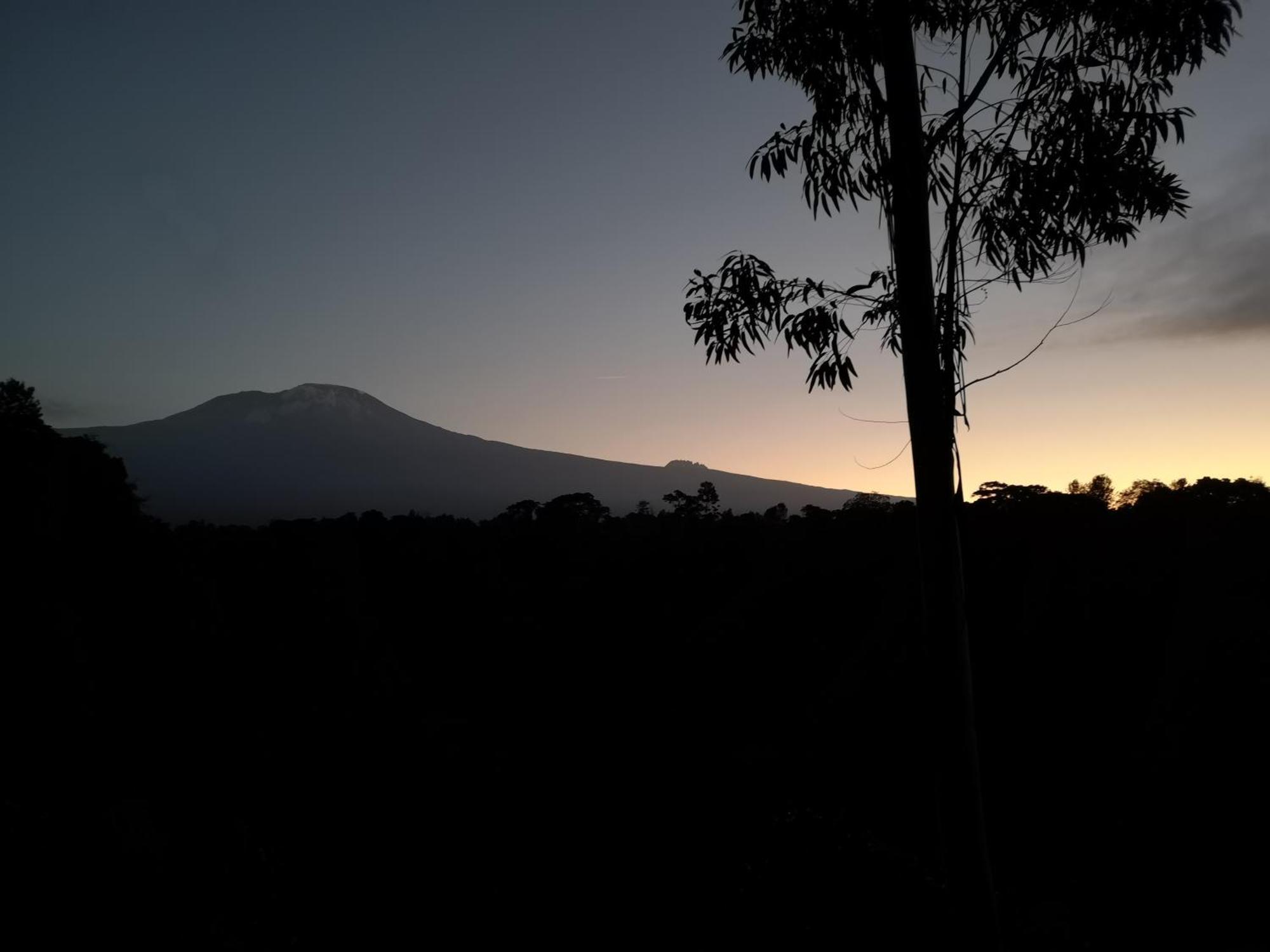 Kaliwa Lodge Moshi Kültér fotó