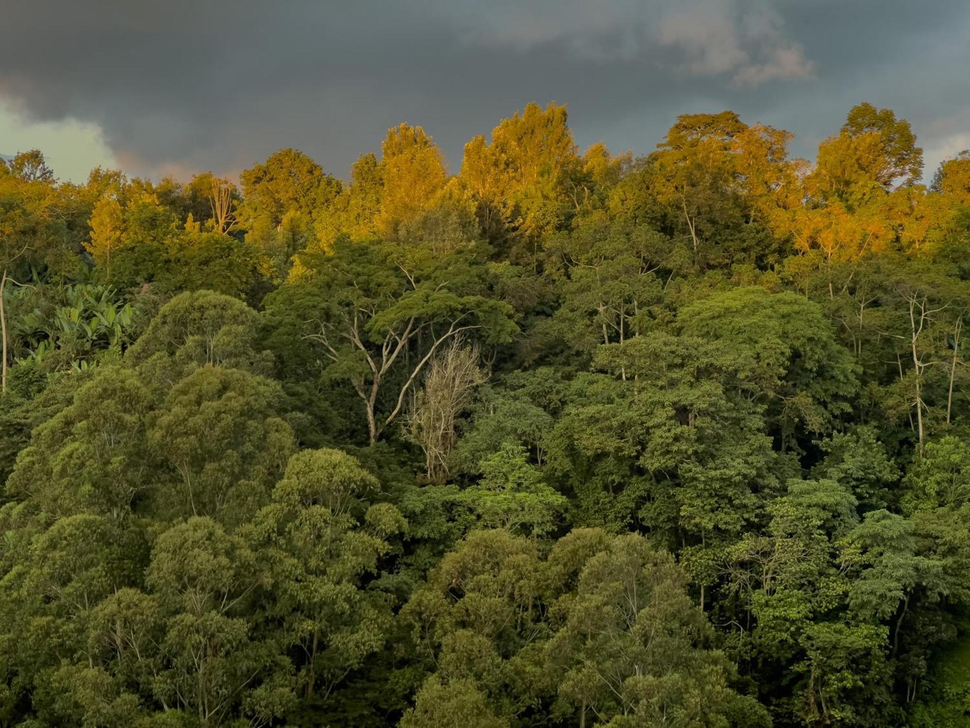 Kaliwa Lodge Moshi Kültér fotó