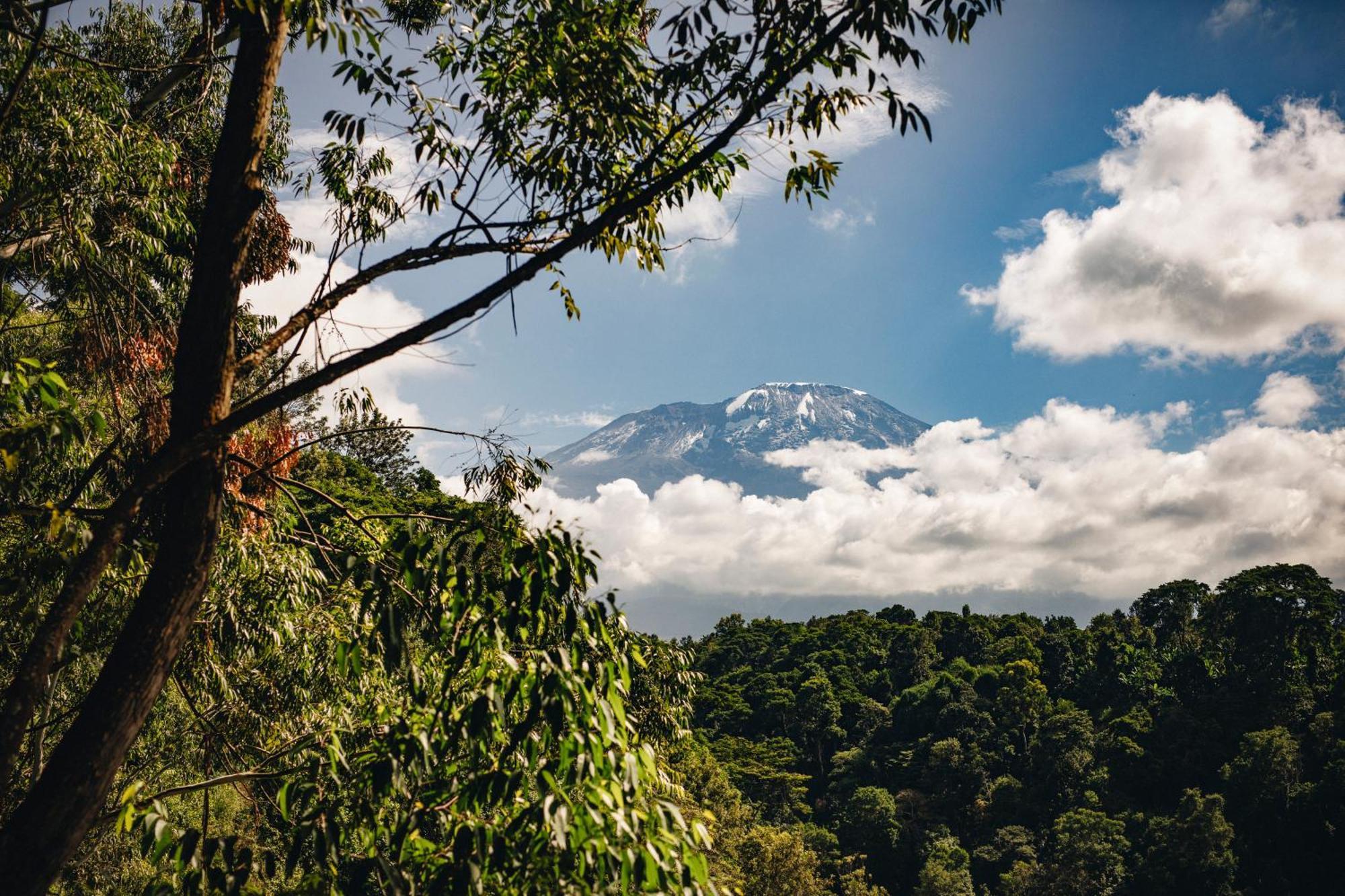 Kaliwa Lodge Moshi Kültér fotó