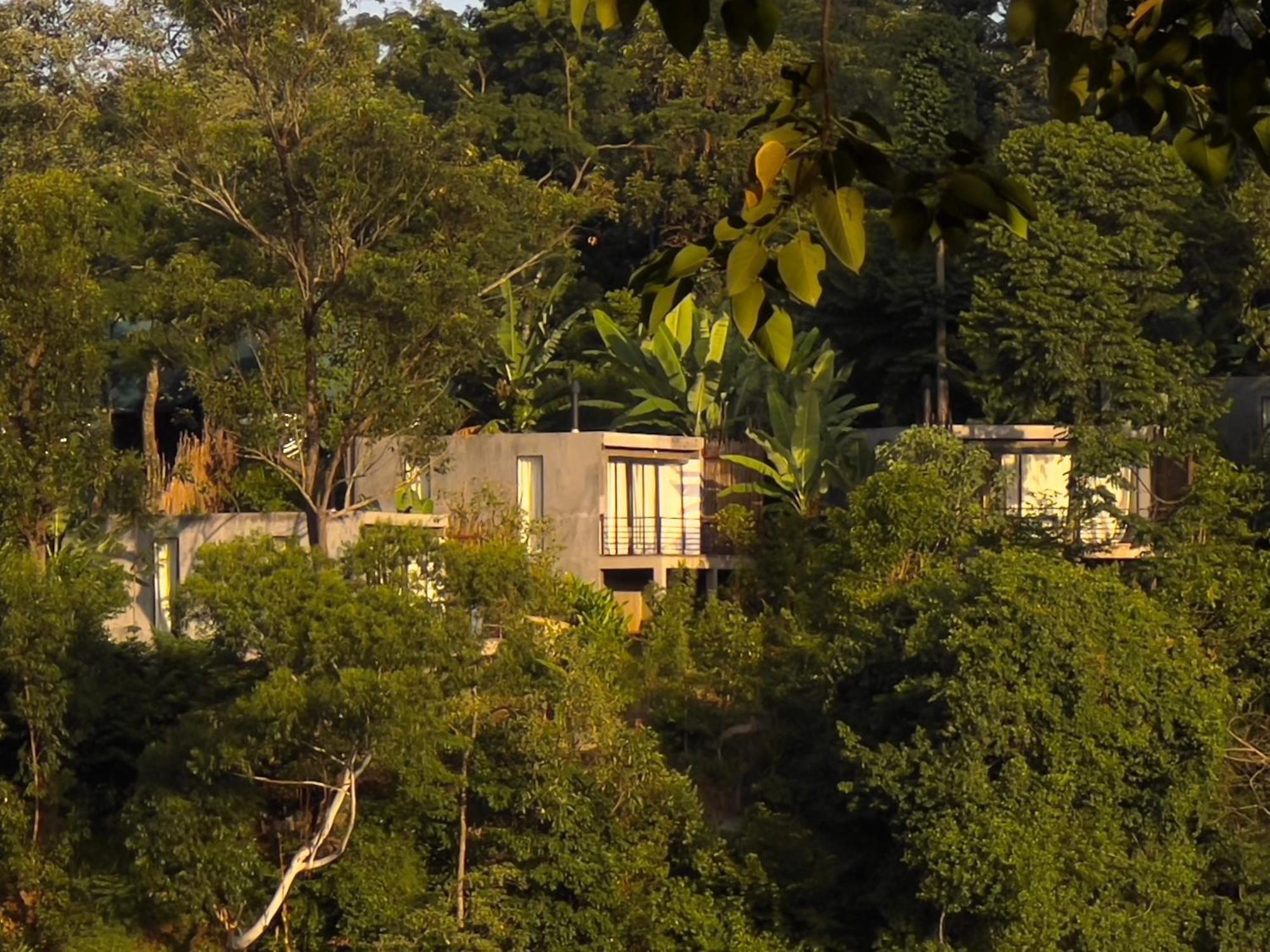 Kaliwa Lodge Moshi Kültér fotó