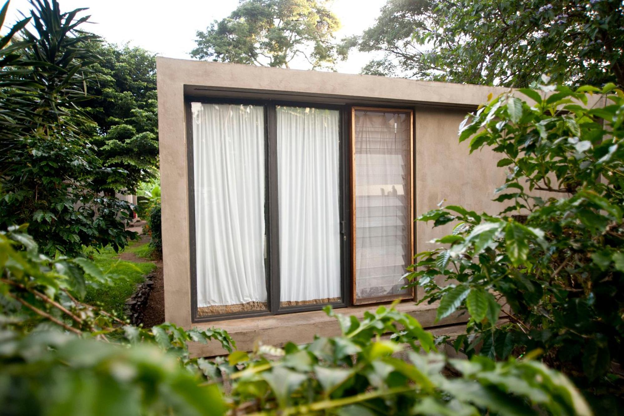 Kaliwa Lodge Moshi Szoba fotó